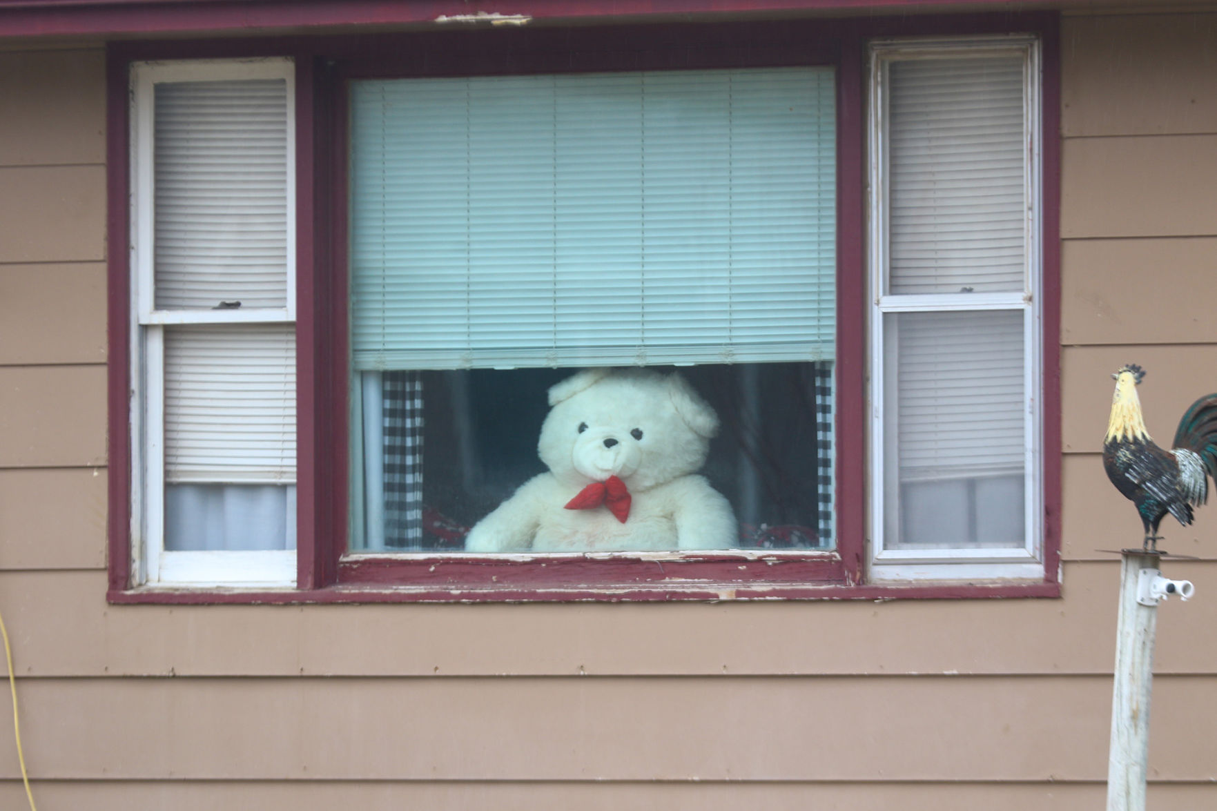 PHOTOS: Bear Hunt